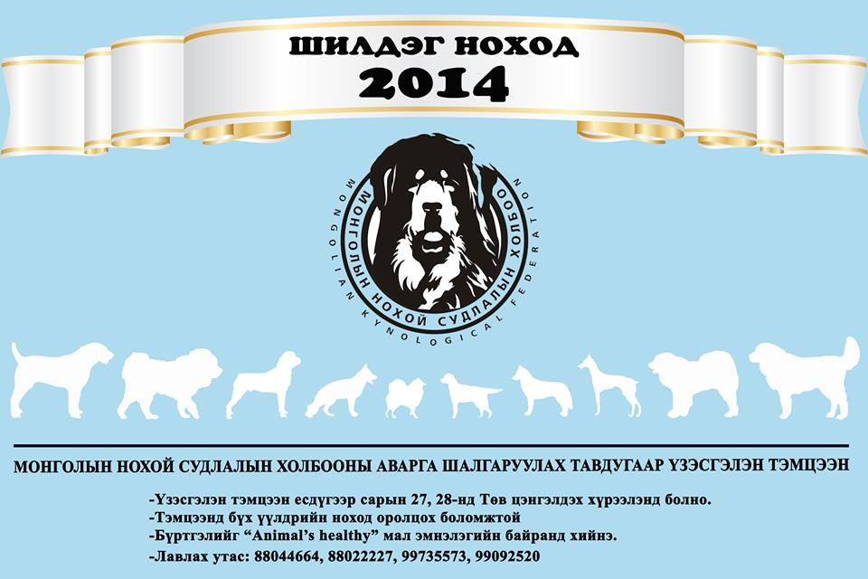 “Шилдэг ноход 2014” тэмцээн болно